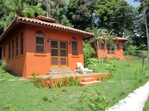 Home 149716 376083 o8hdv5yuuomc0orf4qczqpnqbojyzo8fbgxofaxihtu 67e70e1972dc8